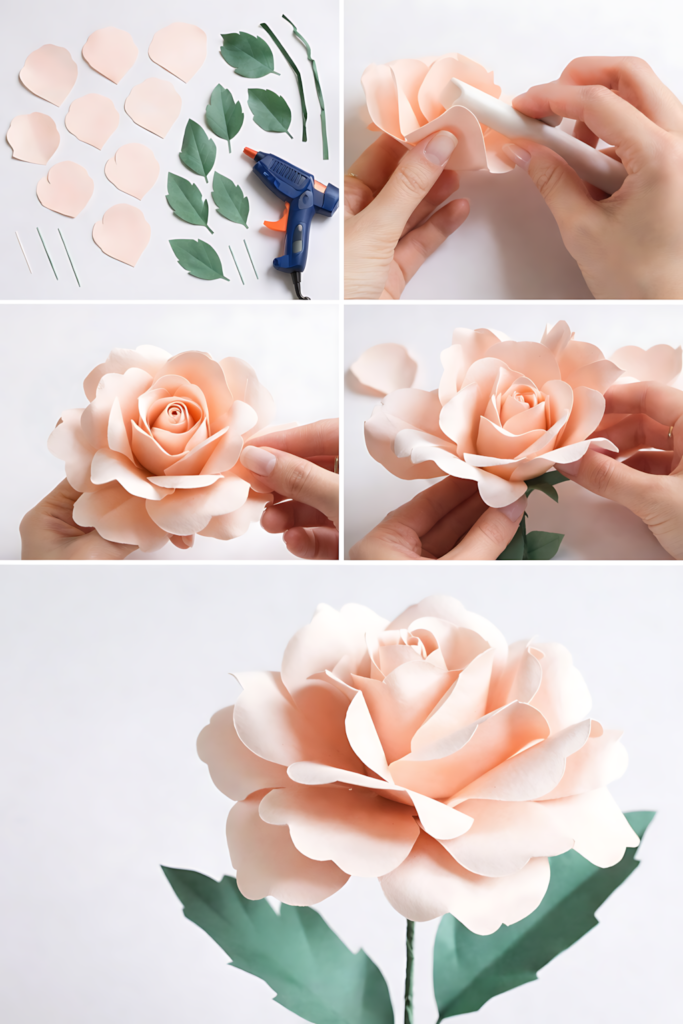 Garden rose paper flower collage