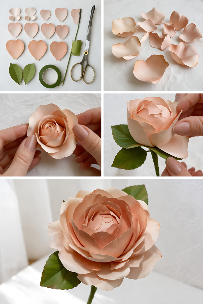 Queen of Sweden rose collage