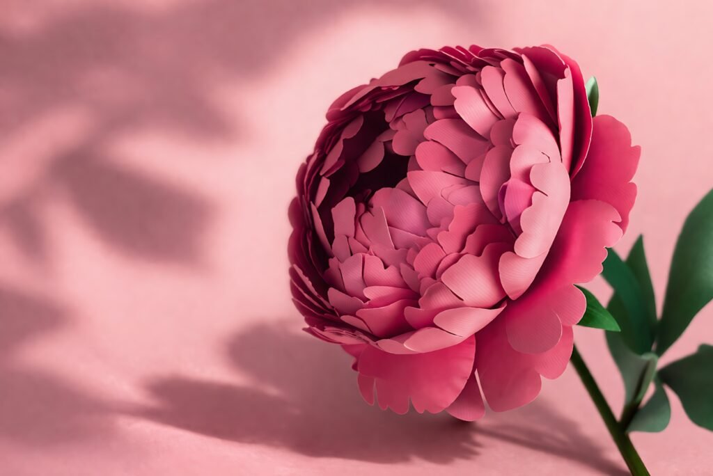 Layered pink paper peony flower on a soft pink background