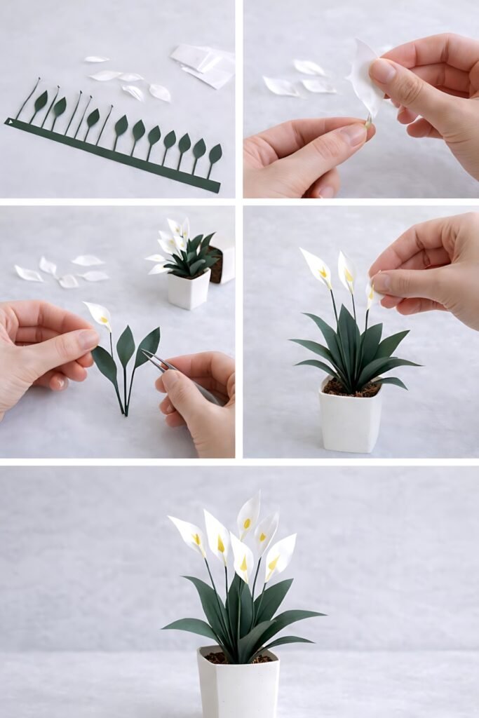 Mini peace lily assembly