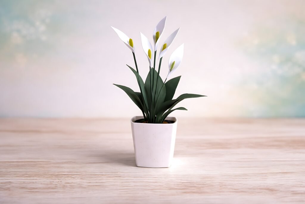 Mini peace lily in vase